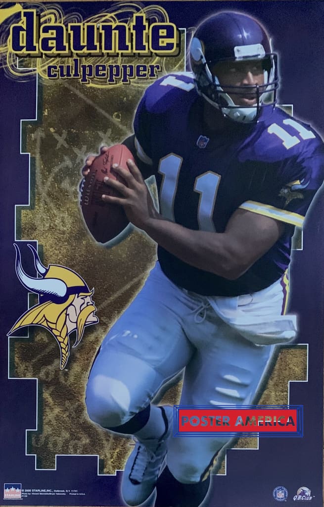 daunte culpepper super bowl