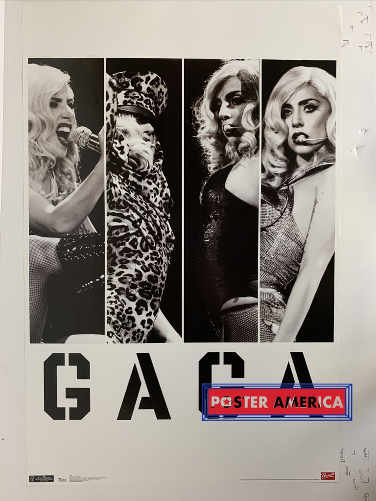 Lady Gaga 2011 Trends Poster 22.5 x 34