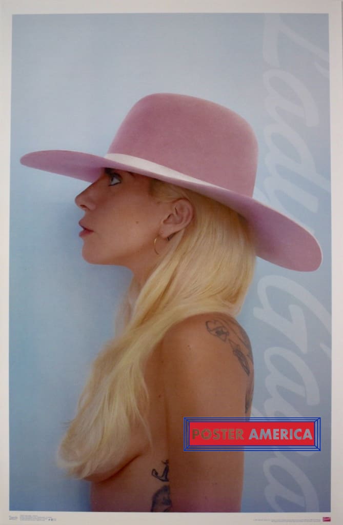 lady gaga pink hat