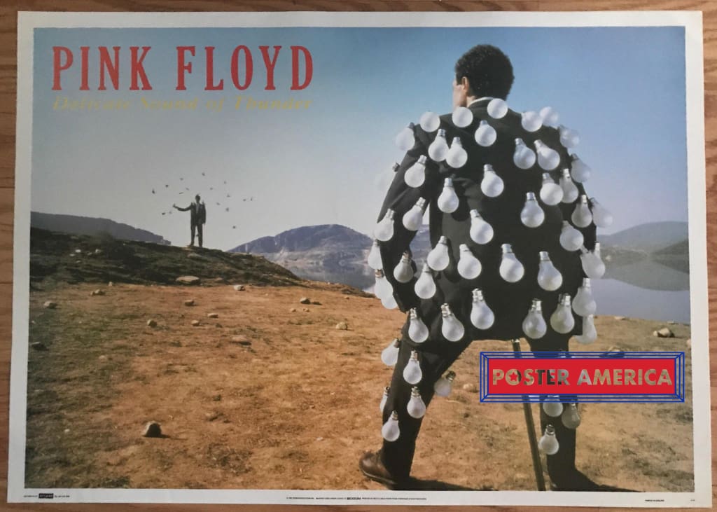 pink floyd delicate sound of thunder album cover