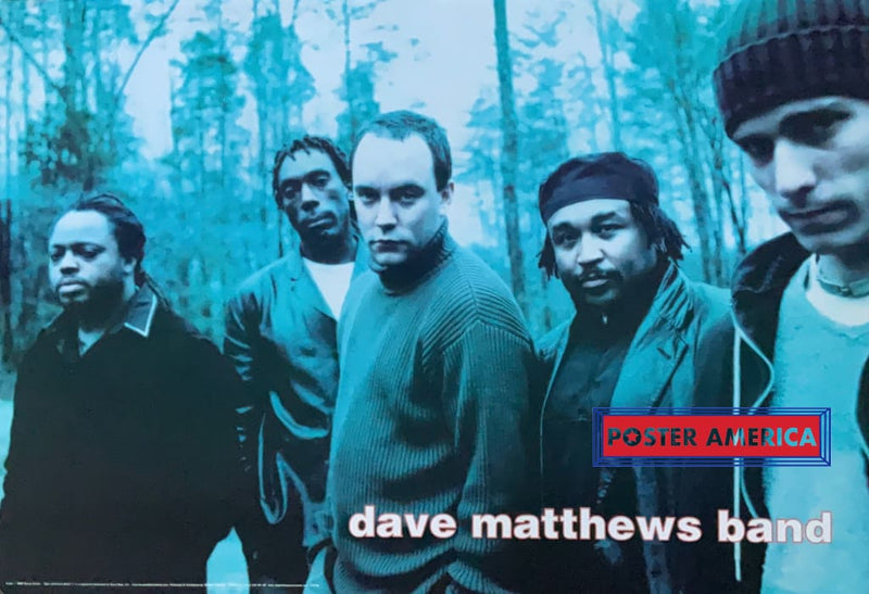 Load image into Gallery viewer, Dave Matthews Band In The Woods Vintage 2000 Poster 24 X 34.5 Vintage Poster
