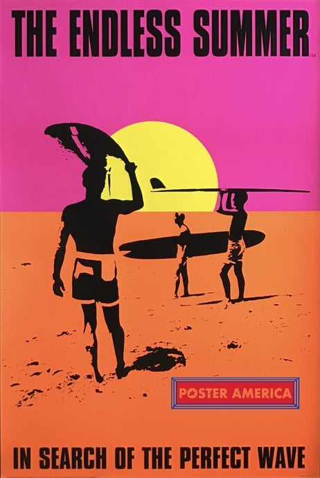 Endless Summer Rare Bright Vibrant Vintage 2002 Poster 24 X 36 Vintage Poster