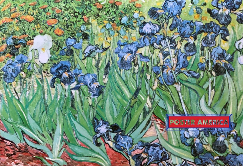 Load image into Gallery viewer, Garden Of Irises By Vincent Van Gogh Art Poster 24 X 36 Print
