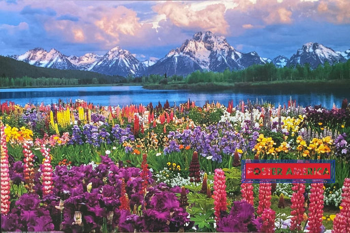 Grand Teton National Park 2003 Swiss Import Poster 24 X 36