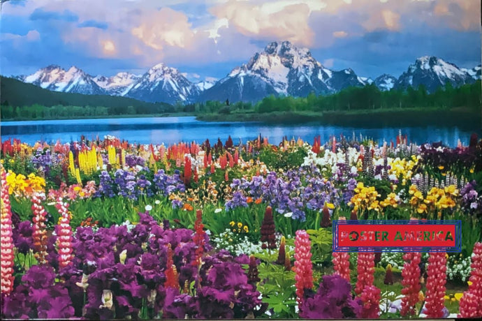 Grand Teton National Park 2003 Swiss Import Poster 24 X 36 Vintage