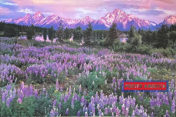 Grand Teton National Park Shot By Liz Austin Poster 24 X 36