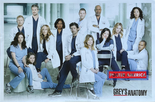 Greys Anatomy Cast In Costume Poster 24 X 36