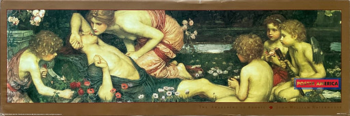 John William Waterhouse The Awakening Of Adonis Vintage Art Slim Print Poster 12 X 36