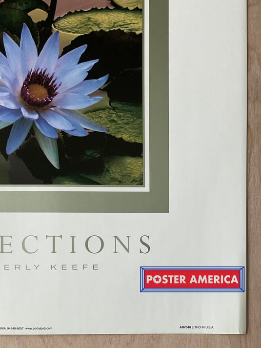 Kimberly Keefe Reflections Water Lillies Vintage 2001 Art Slim Print 12 X 36