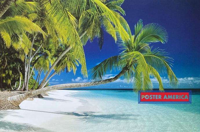 Leaning Palm Tree On Beach Scenic Poster 24 X 36