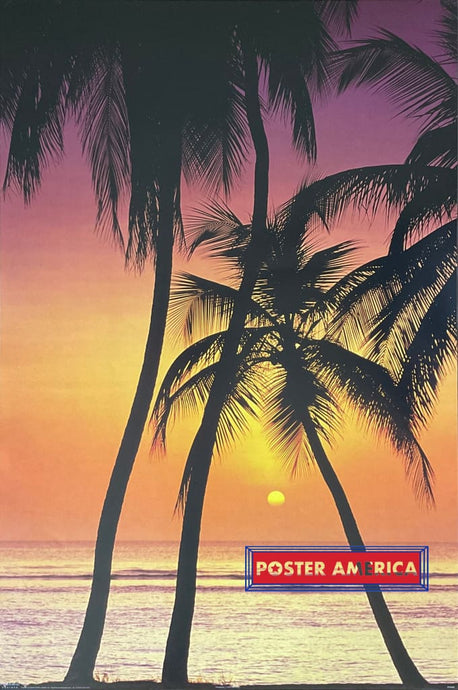 Xxx - Palm Tree Posters Prints & Visual Artwork