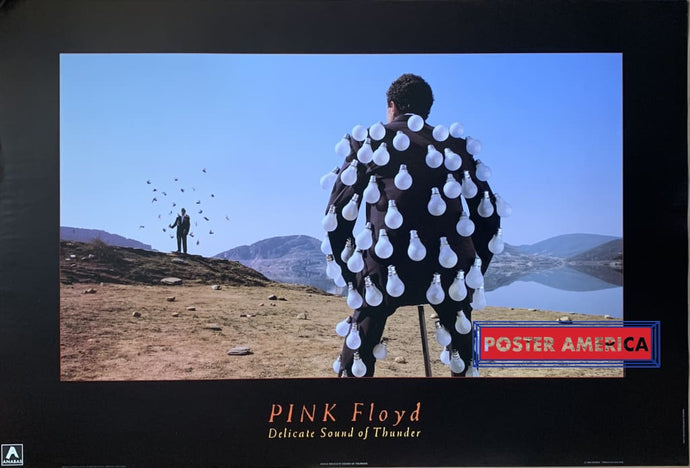 Pink Floyd Delicate Sound Of Thunder Poster 23.5 X 34.5 Vintage Poster