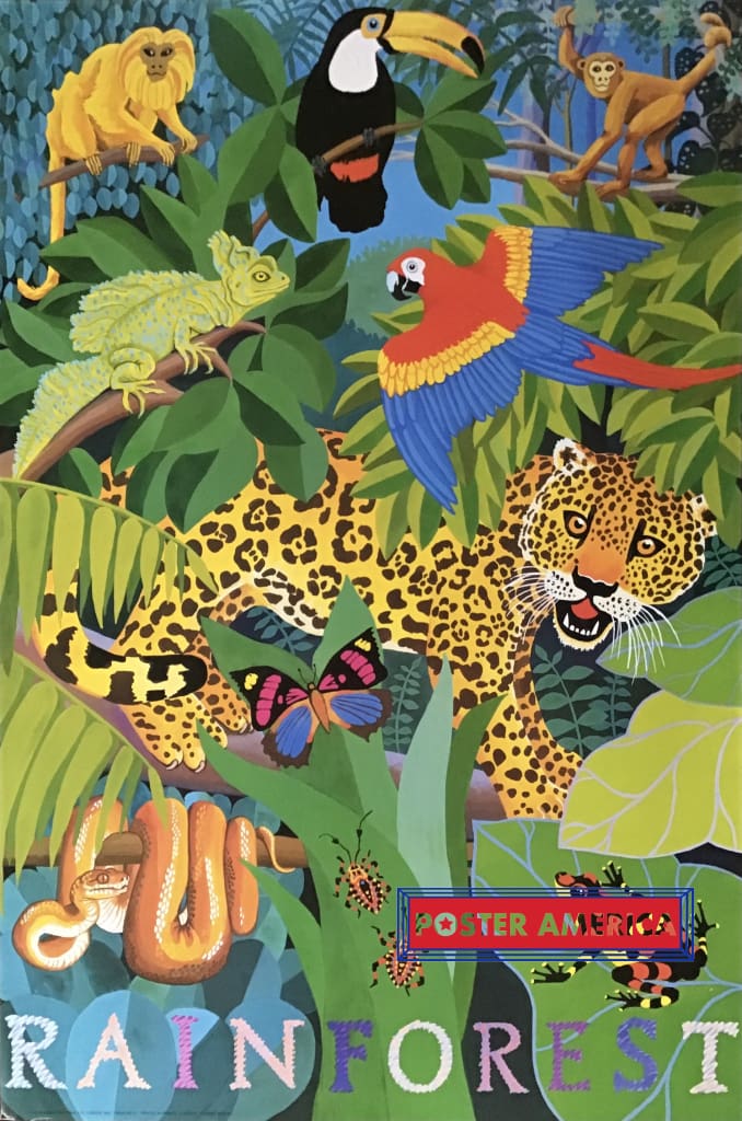 Load image into Gallery viewer, Rainforest Colorful Creatures Poster 23 X 35
