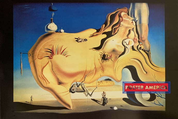 Salvador Dali Grand Masturbateur Poster 24 X 35