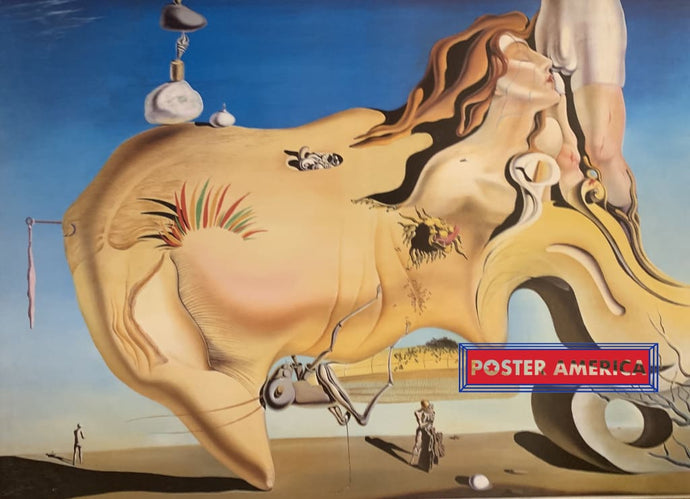 Salvador Dali Grand Masturbateur Vintage Poster 24 X 35