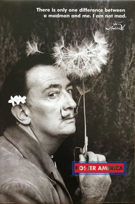 Salvador Dali Self Photograph Vintage Poster 24 X 36 There Is Only One Difference Between A Madman