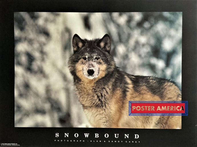 Snowbound Photography Alan & Sandy Carey Vintage 1992 Poster 24 X 32