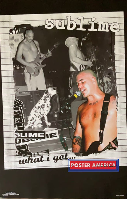 Sublime What I Got Vintage 2000 Poster 22.5 X 34.5 Vintage Poster