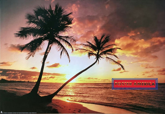 Sunset Palms Coastline On The Indian Ocean Vintage 1995 Poster 24 X 34.5