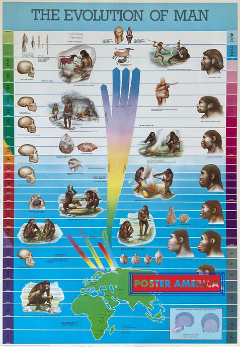 The Evolution Of Man Vintage Hobby Poster 27 X 39 Posters Prints & Visual Artwork