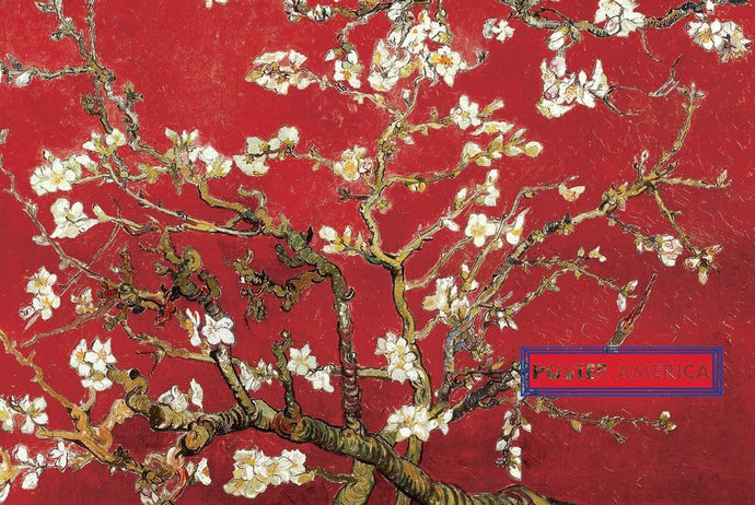 Vincent Van Gogh Almond Tree 24 X 36