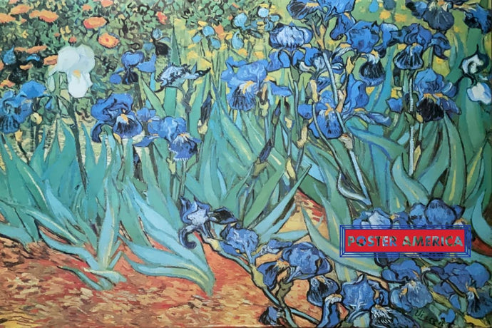 Vincent Van Gogh Irises In The Garden Vintage 1996 Art Poster 24 X 35 Print