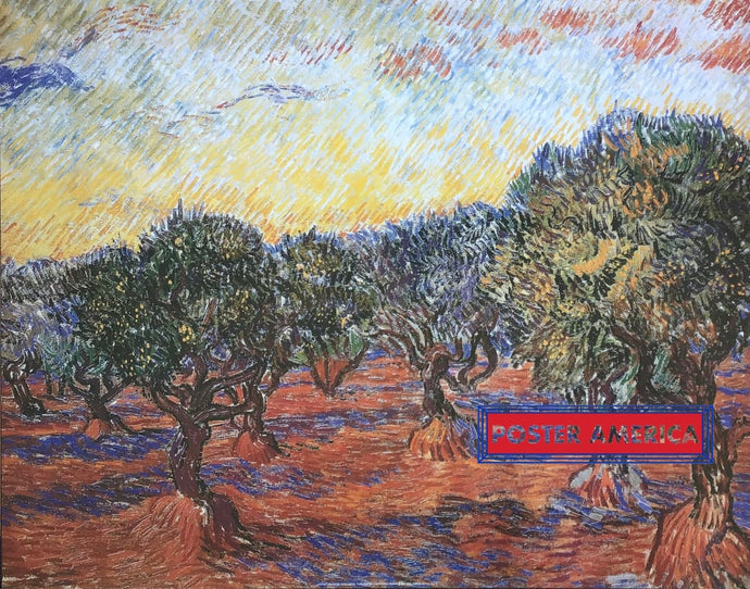 Vincent Van Gogh Olive Grove Art Print 22 X 28 Posters Prints & Visual Artwork