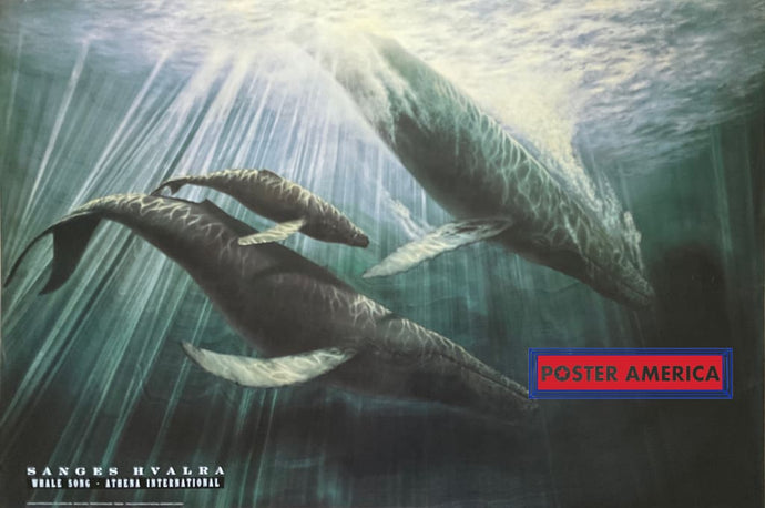 Whale Song Vintage 1991 Art Poster 23.5 X 35 Vintage Poster